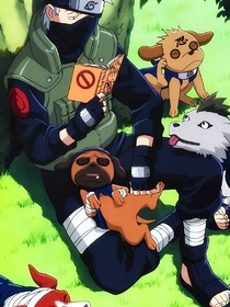 火影之养妹日常