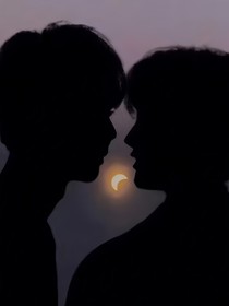 祺鑫：蓝桉又遇释槐鸟