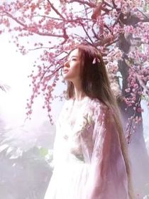 综影视：圆愿事务所