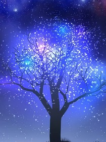 小花仙之传说的奇迹